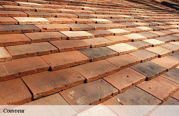 Couvreur Loiret