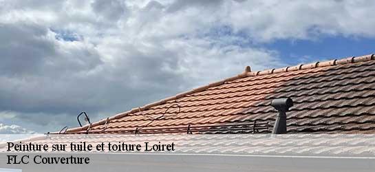 Peinture sur tuile et toiture Loiret 