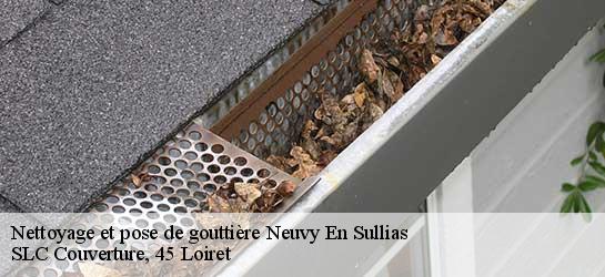 Nettoyage et pose de gouttière  45510