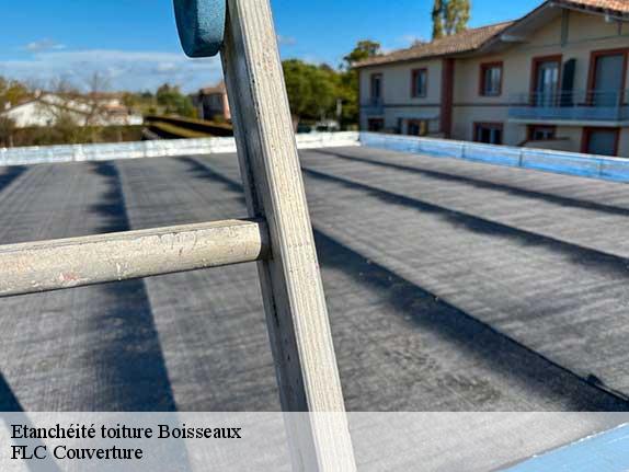 Etanchéité toiture  boisseaux-45480 FLC Couverture
