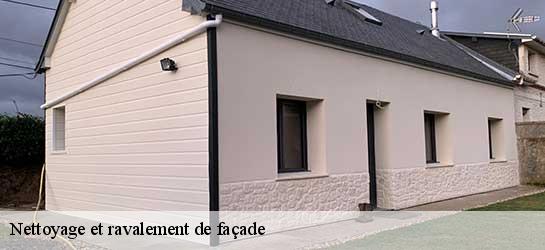 Nettoyage et ravalement de façade  45330