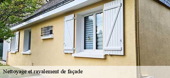 Nettoyage et ravalement de façade  45630