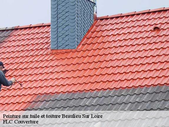 Peinture sur tuile et toiture  beaulieu-sur-loire-45630 FLC Couverture