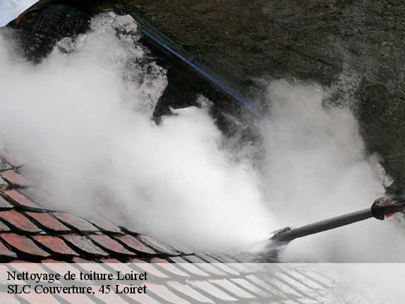 Nettoyage de toiture Loiret 