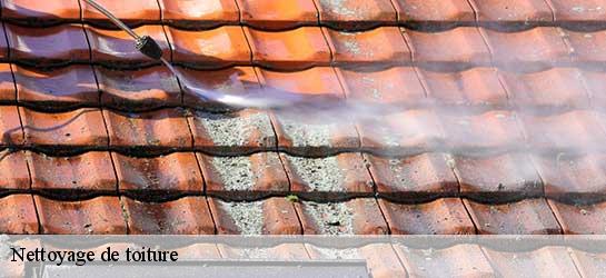 Nettoyage de toiture Loiret 