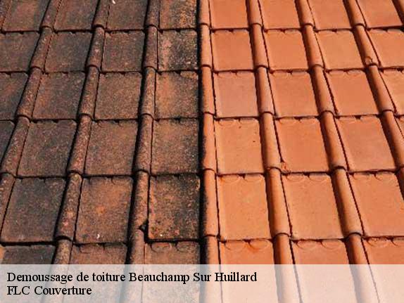 Demoussage de toiture  beauchamp-sur-huillard-45270 FLC Couverture