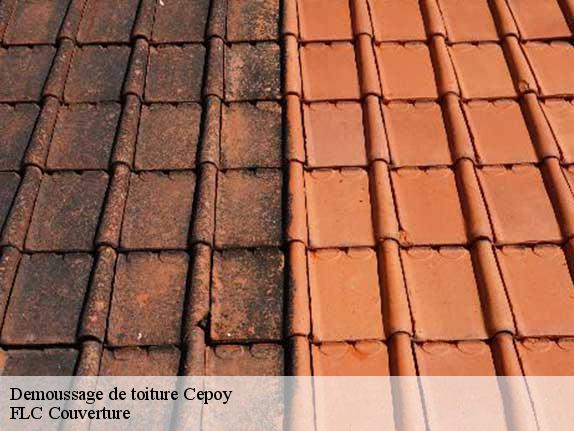 Demoussage de toiture  cepoy-45120 FLC Couverture
