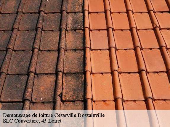Demoussage de toiture  cesarville-dossainville-45300 FLC Couverture