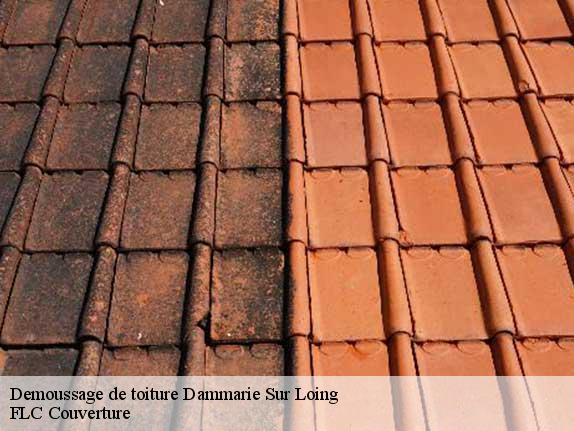 Demoussage de toiture  dammarie-sur-loing-45230 FLC Couverture