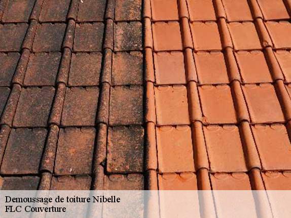 Demoussage de toiture  nibelle-45340 FLC Couverture