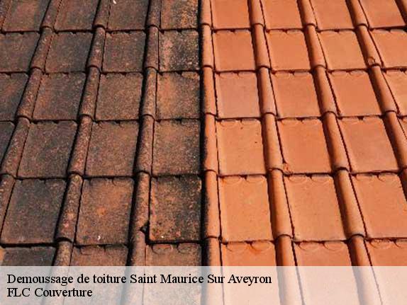 Demoussage de toiture  saint-maurice-sur-aveyron-45230 FLC Couverture