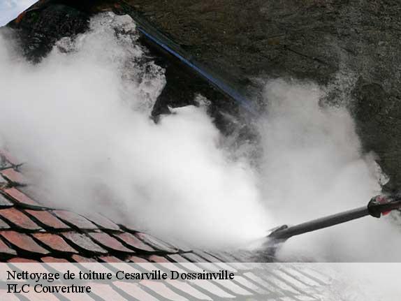 Nettoyage de toiture  cesarville-dossainville-45300 FLC Couverture