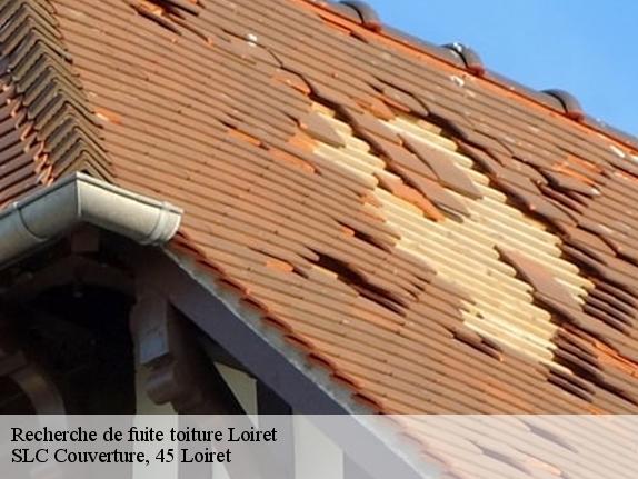 Recherche de fuite toiture Loiret 