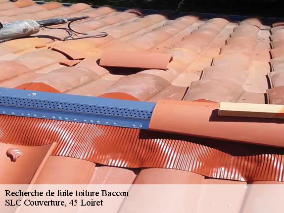 Recherche de fuite toiture  baccon-45130 SLC Couverture, 45 Loiret