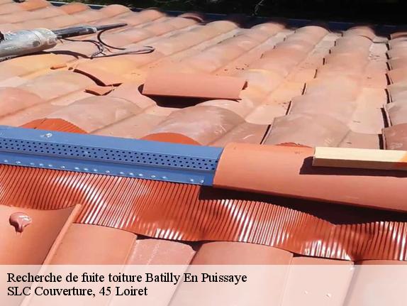 Recherche de fuite toiture  batilly-en-puissaye-45420 SLC Couverture, 45 Loiret